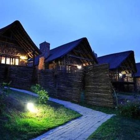 Kwantu Private Game Reserve Sidbury Bagian luar foto