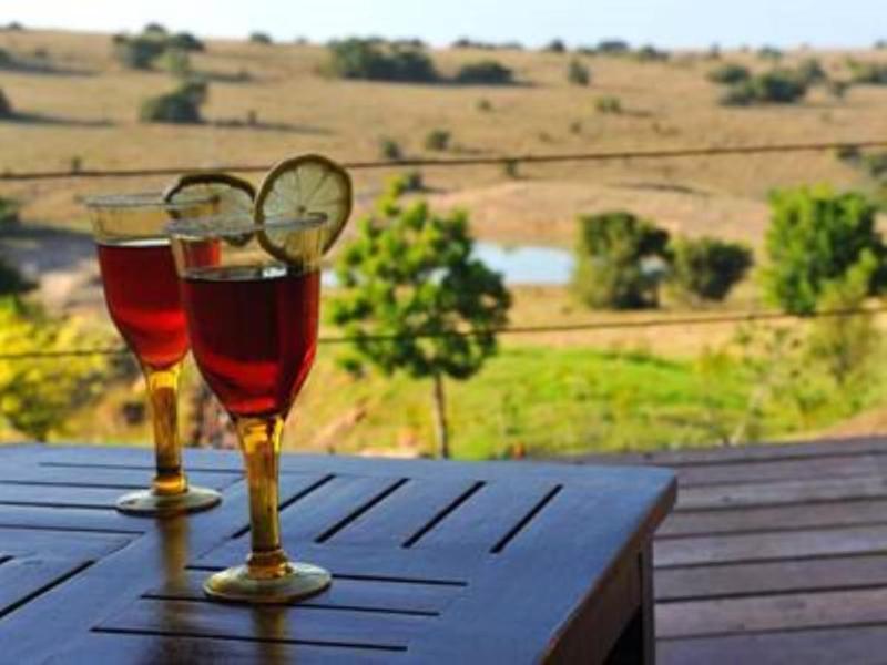 Kwantu Private Game Reserve Sidbury Bagian luar foto